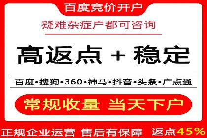 行业领先企业的SEM优化之路